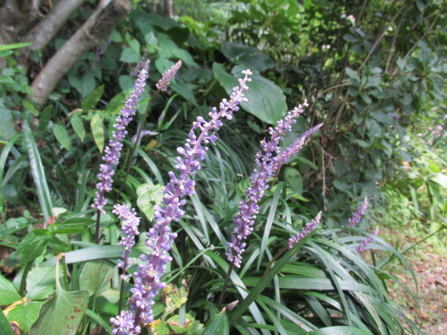 f0341616_16135308.jpg