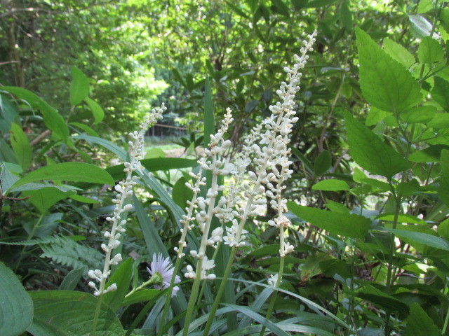 f0341616_16165855.jpg
