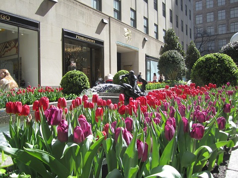 e0041217_10591883.jpg