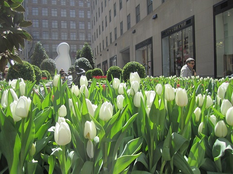 e0041217_1059877.jpg