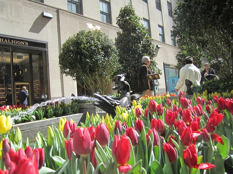 e0041217_1124571.jpg