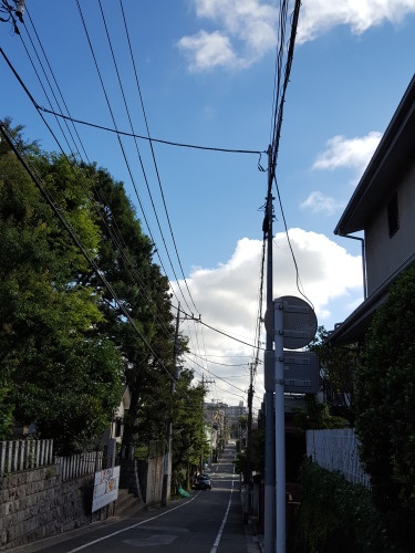 e0016828_10344629.jpg