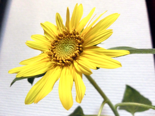 e0253932_85236.jpg