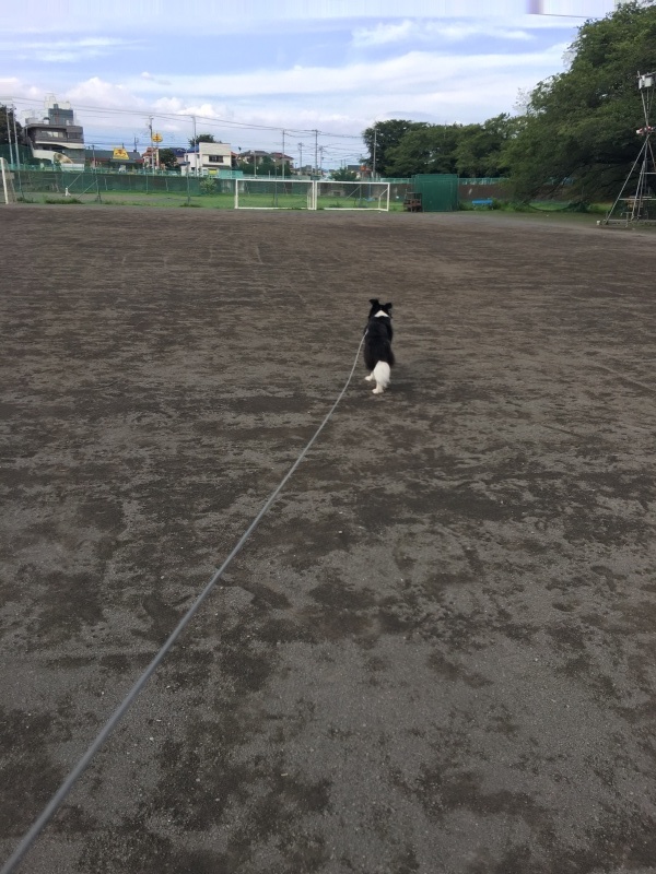 c0343734_01412539.jpg