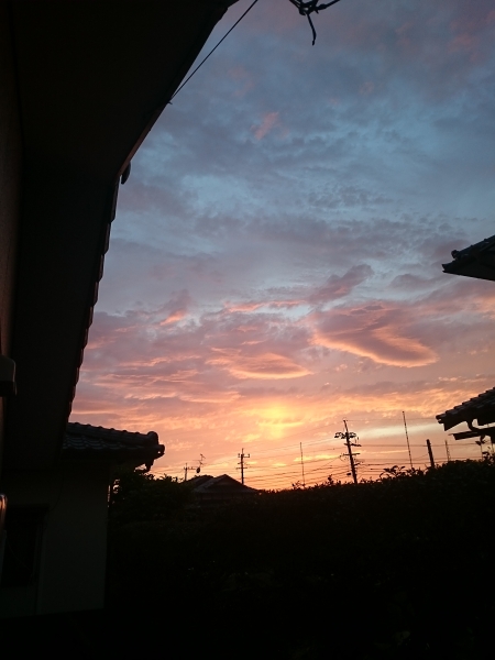 c0281841_1630672.jpg