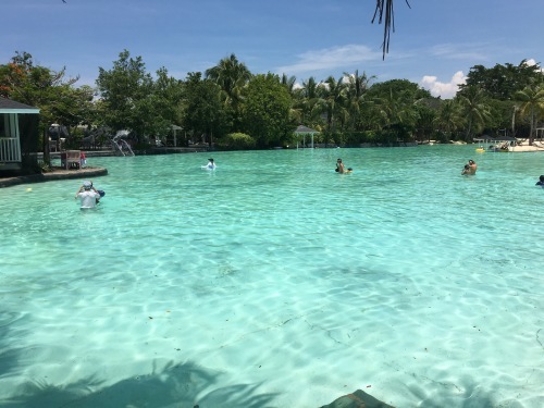 b0127148_16200066.jpeg