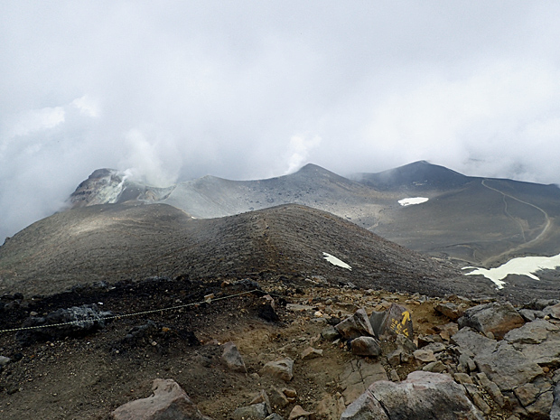 f0214649_2055532.jpg