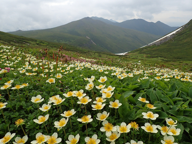 f0214649_315115.jpg