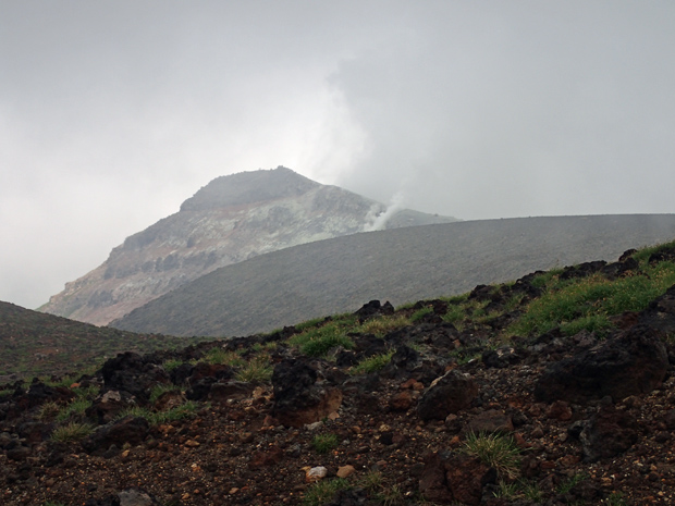 f0214649_3555248.jpg