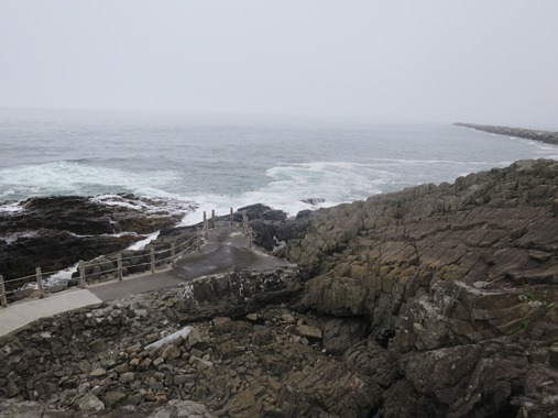 f0202151_16135596.jpg