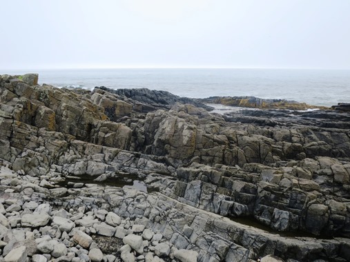 f0202151_16143852.jpg