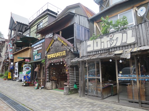 f0202151_17311236.jpg