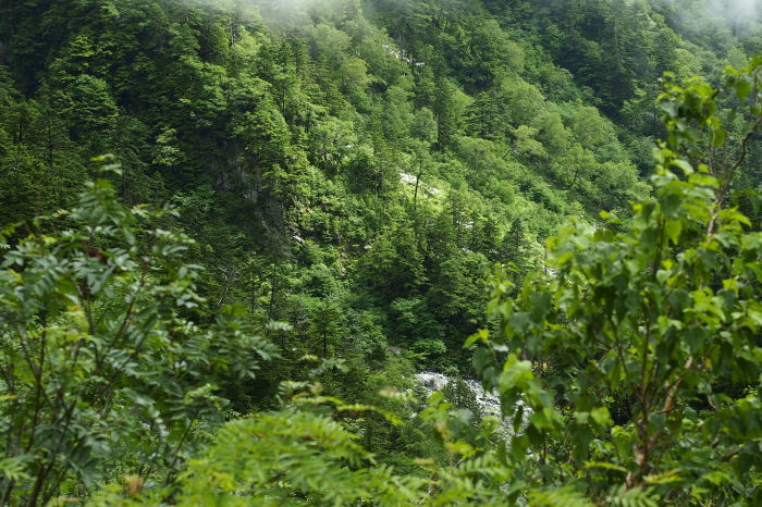 e0307372_16435079.jpg