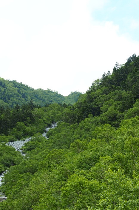 e0307372_16475057.jpg