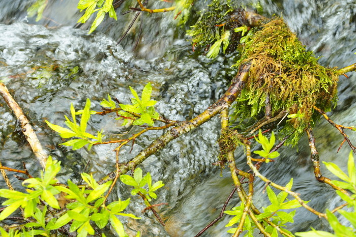 e0307372_16561460.jpg