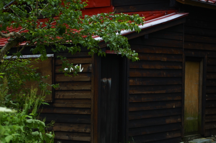 e0307372_17001417.jpg