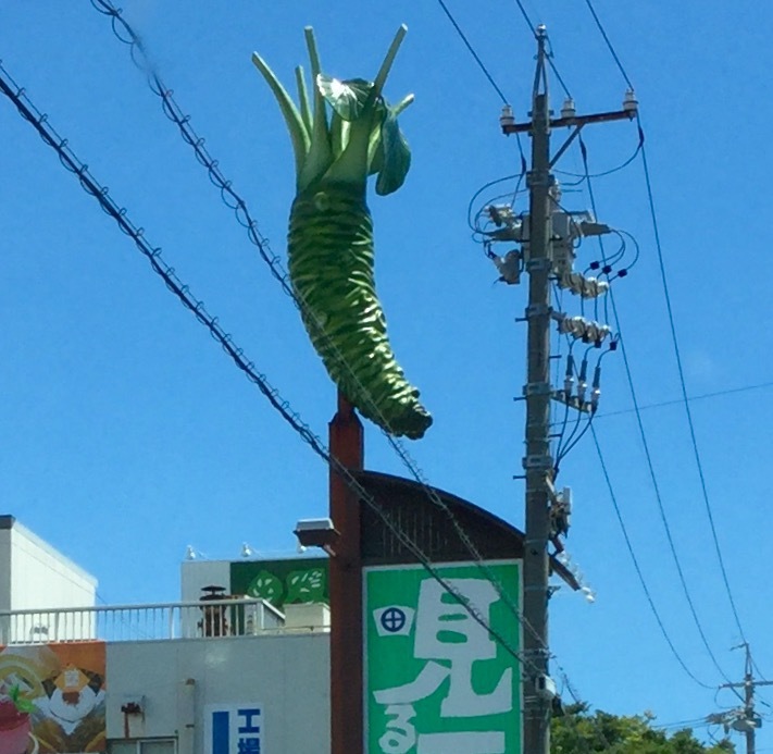 f0359673_11423438.jpeg