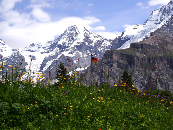 a0259275_11354127.jpg