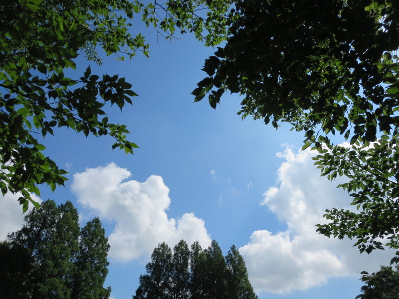 d0264176_18351758.jpg