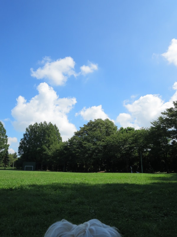 d0264176_1835353.jpg
