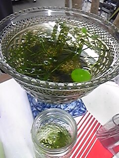 a0111077_19322562.jpg