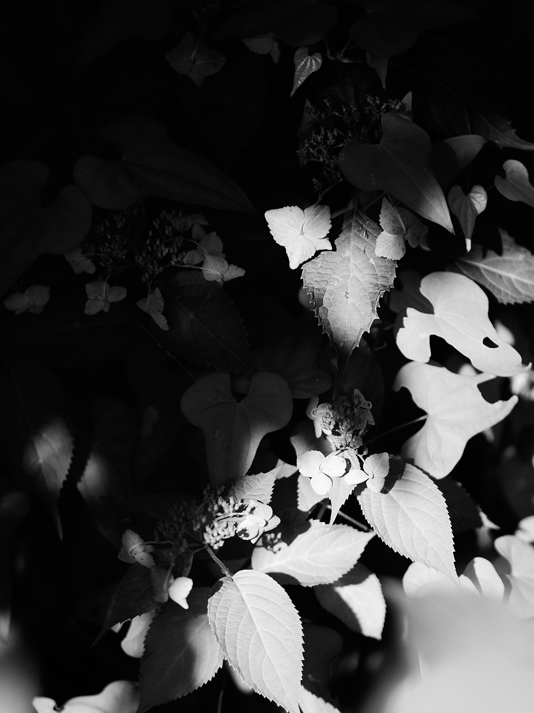 f0121181_0324885.jpg