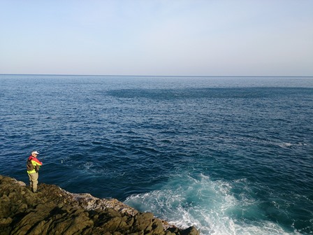 c0018489_1150498.jpg
