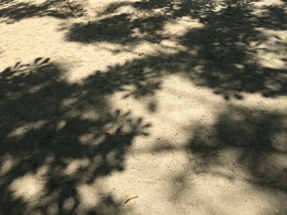 d0239796_11444905.jpeg