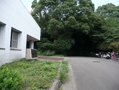 b0061798_15474394.jpg
