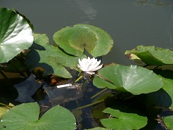 b0061798_1556497.jpg