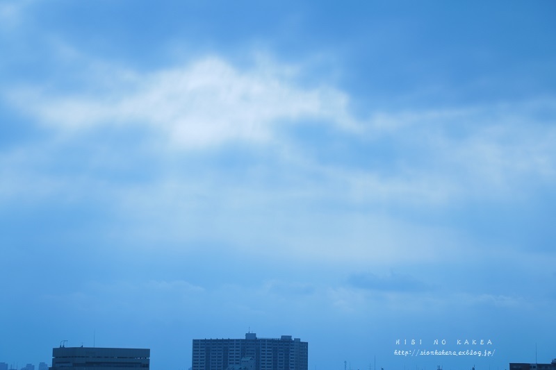 c0358500_21533939.jpg