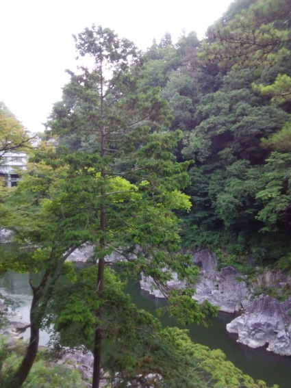 c0212604_691172.jpg
