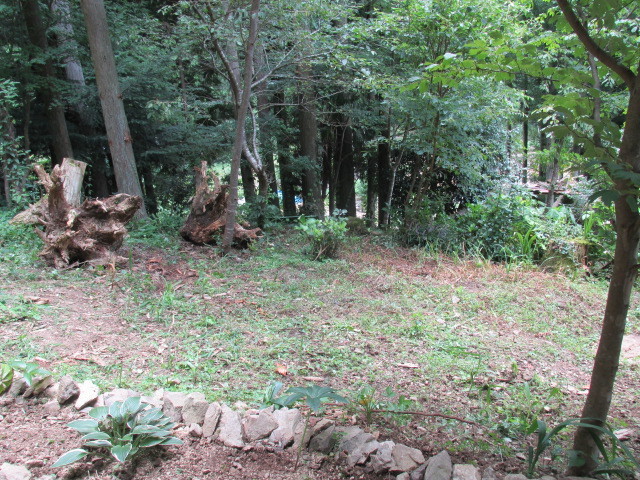 f0341616_16111950.jpg