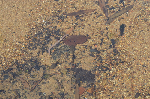 f0191517_15102236.jpg