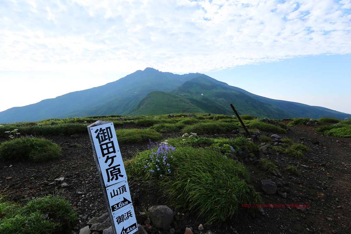 b0062024_11113126.jpg