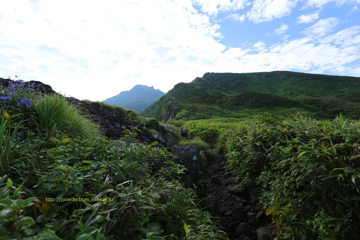 b0062024_11154579.jpg