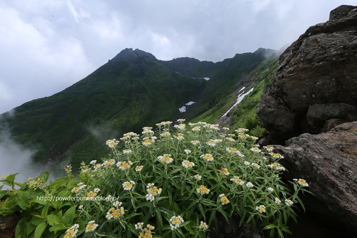 b0062024_13382027.jpg