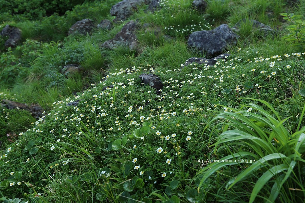 b0062024_2104585.jpg