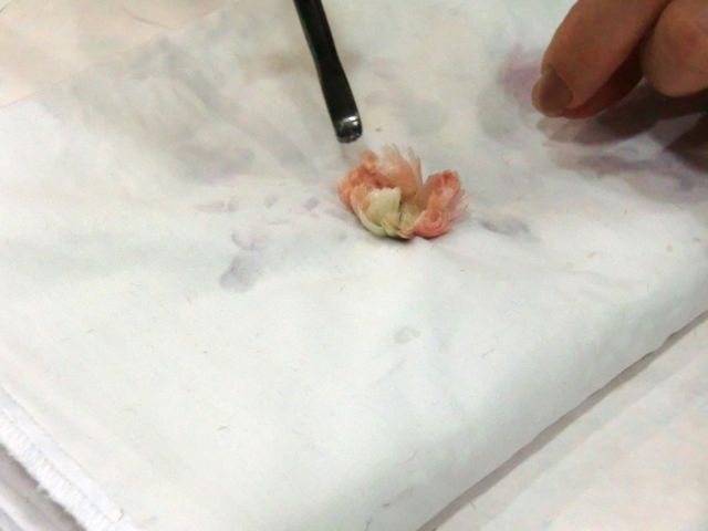 a0231227_22455063.jpg