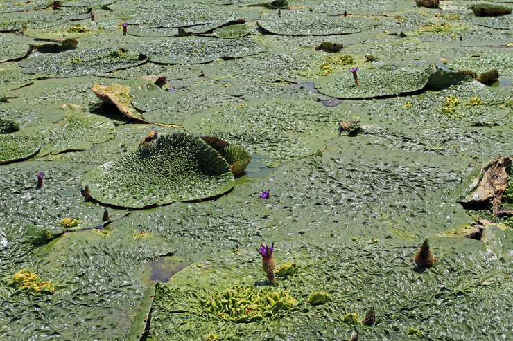 c0104227_22412940.jpg
