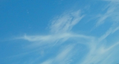 a0157433_18124347.jpg