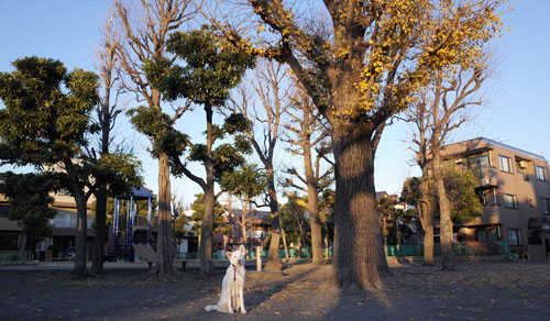 a0117039_0294555.jpg