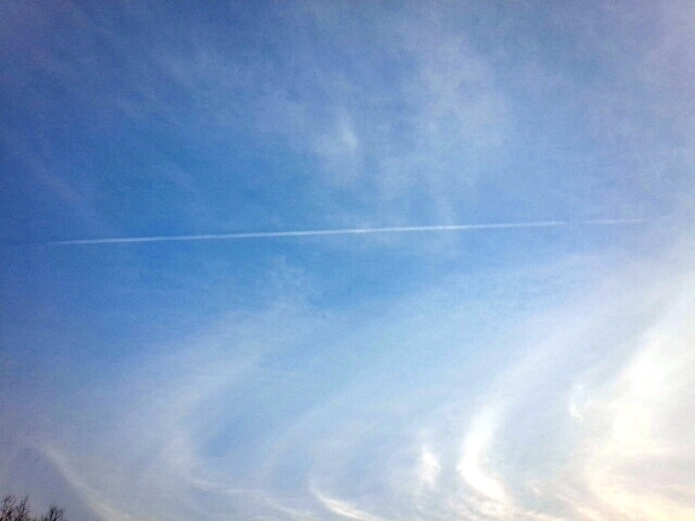 c0175339_00322748.jpg