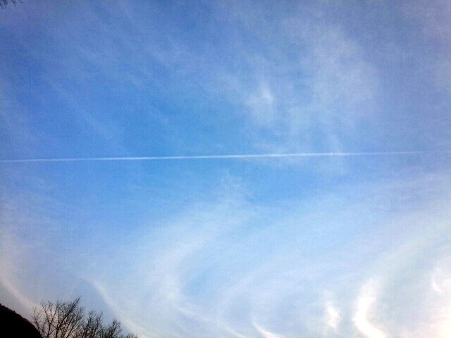 c0175339_00324396.jpg