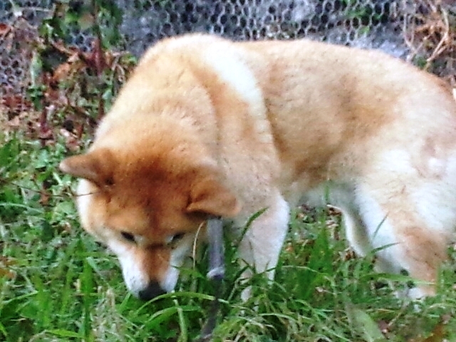 c0175339_00330488.jpg