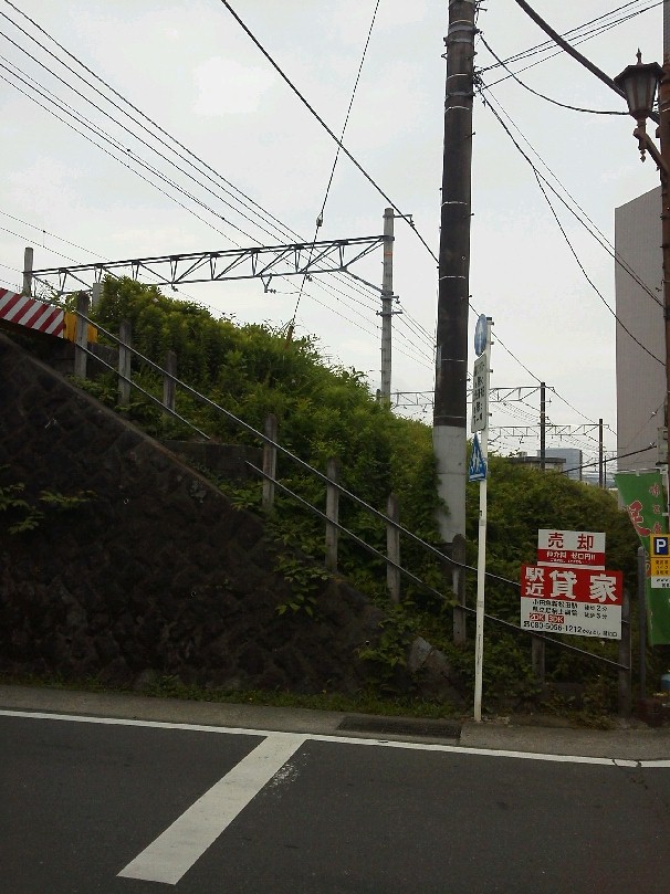 b0031140_6251554.jpg