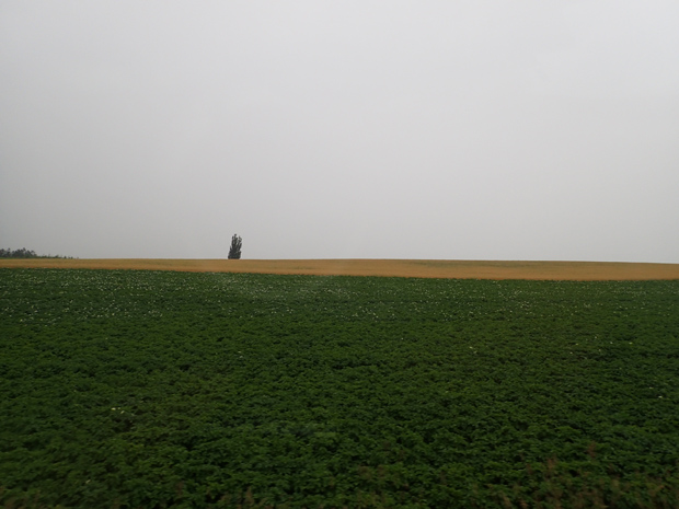 f0214649_17103472.jpg