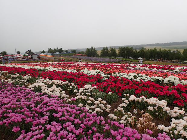 f0214649_1722744.jpg