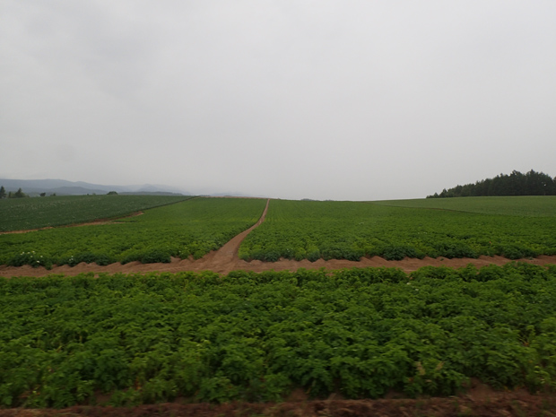 f0214649_1793876.jpg