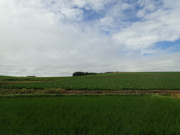 f0214649_1811121.jpg